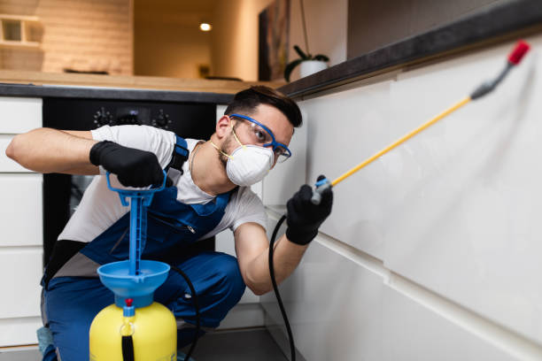 Best Ant Control Services  in Bethany, IL