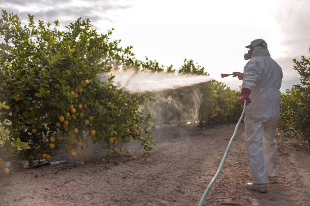 Best Pest Prevention Services  in Bethany, IL