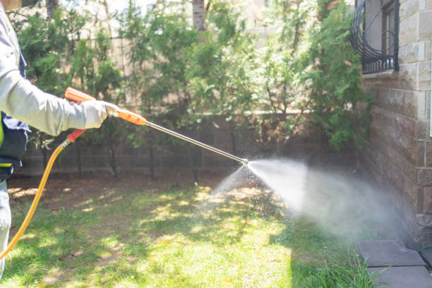 Best Pest Control Near Me in Bethany, IL