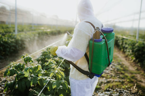 Best Pest Inspection Near Me  in Bethany, IL